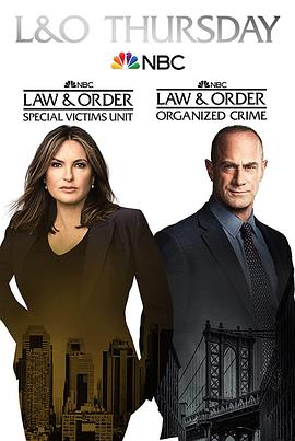 法律与秩序：特殊受害者 第二十三季 第19集