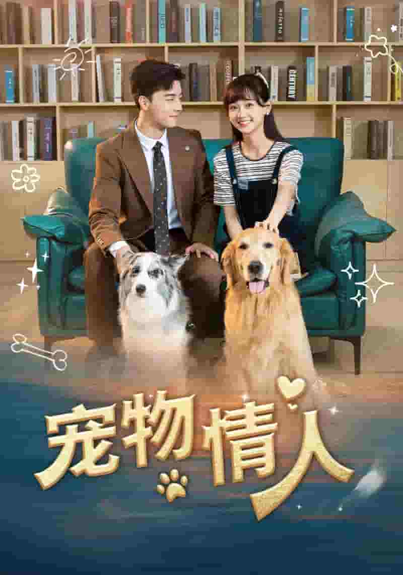 宠物情人 短剧版(全集)